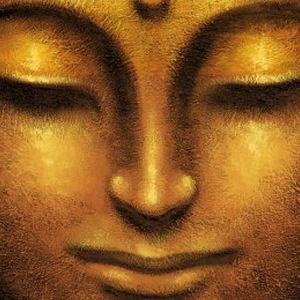 Meet your Posher, Loverra